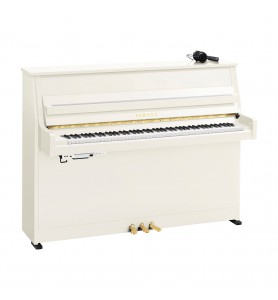 Yamaha B10 TransAcoustic